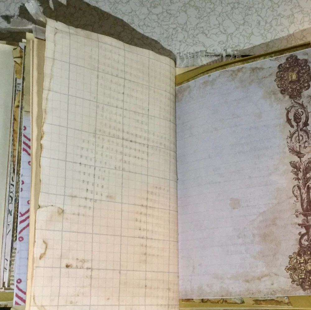 🌺 Distinct Victorian 🌸 Fractsi riella Journal 💮